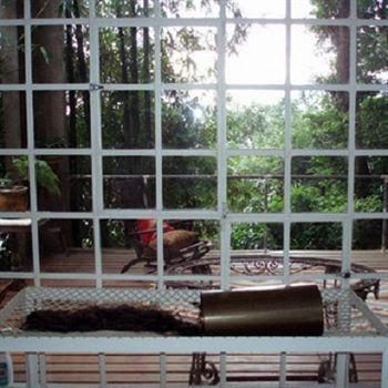 Vitoria Regia Couette-café